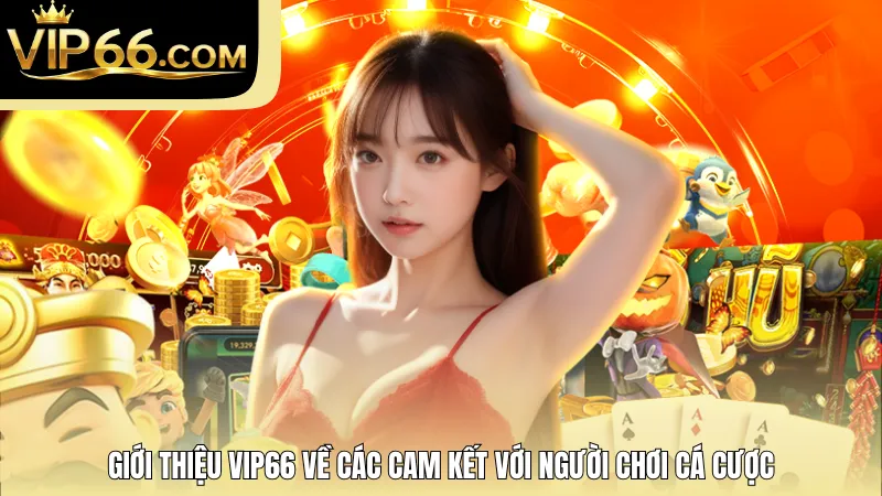 Giới thiệu VIP66 về các cam kết với người chơi cá cược