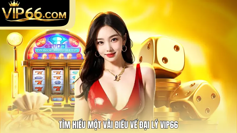 Tìm hiểu một vài điều về đại lý VIP66
